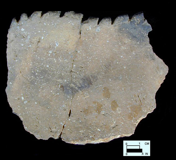 Keyser notched rim sherd from Hughes site 18MO1, Feature 45.